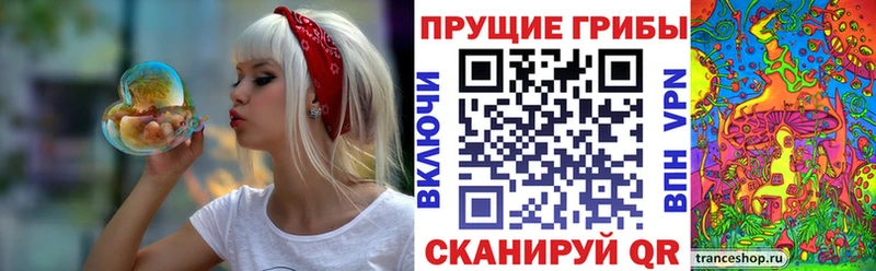 Псилоцибиновые грибы Magic Shrooms  гидра ТОР  Новоржев 